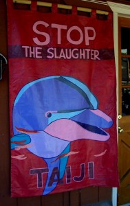 Activist Banner Opposing dolphin killings in Taiji, Japan